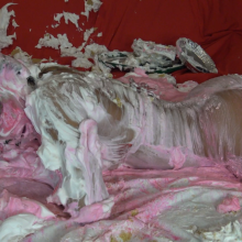 Jayce: Jayce Begs for Pies from the Professor and Gunge for Grades!in 4K!