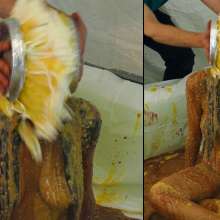 HotWamHD: Brand new Hotwamhd scene--Antonia's Messy Modelling Masterclass