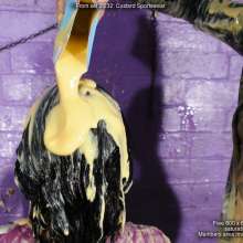 DungeonMasterOne: Skin tight sportswear custard mayhem, with Lucia and Honeysuckle!