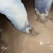 wetmart2240: Returned to the mud