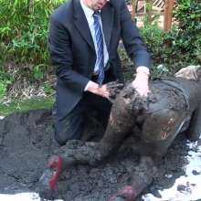 WSMProductions: Custard Couple (Cc) in Muddy Business Suits