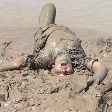 FOXY: Ayako black swan in mud