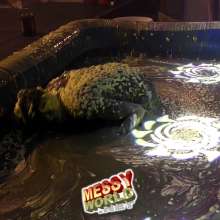 LiquidX: Bag Bogging Gunge Game: Ali vs Anna