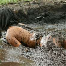 dlodoski: Joan Teasing in Peat--Photos