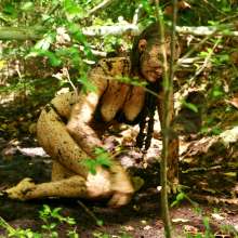 dlodoski: Saraliz Erotic Bog Solo--Photos