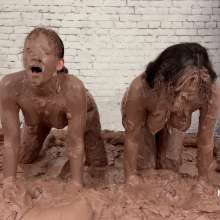 Messygirl: Two New Messygirl Downloads with Dakota, Cassandra and Xlcrmoon