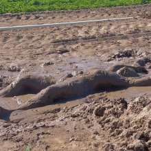 Ski Man: Mud Paradise: Part Two