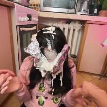 Your Wet Cat: Naughty Sister Was Seen Smoking and Was Punished