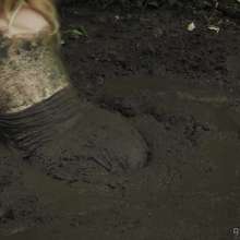 QS4Ever: Testing Clay Pit: Lucy
