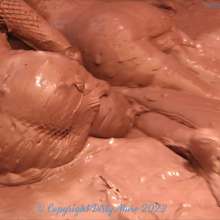 Dirty Muse: The Great Muddy Mix