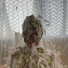 Anglefan: Vivi gets pied from above!