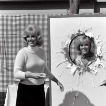 skirtpie: Pie booth