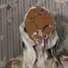Twilight Man: Lots of "April Fools" Self-Pieing