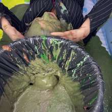Wam Bagheera Studio: Bagheera Plays with Tick Slime after Leaving The Pit