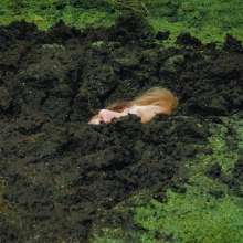 QS4Ever: Don't Step on Duckweed, Tiny
