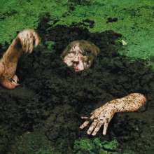 QS4Ever: Don't Step on Duckweed, Tiny
