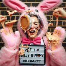 Aero__: Bunny costume pies