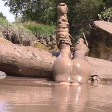 FOXY: A fantastic mud video