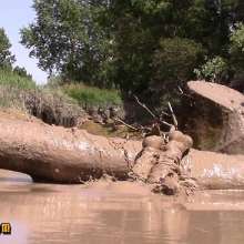 FOXY: A fantastic mud video