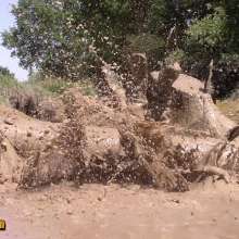FOXY: incredible pleasure in mud