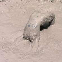 FOXY: Ambre immerses herself in mud