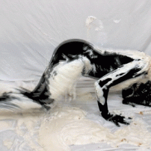SlapstickStuff: Mission Pie-Possible: Glop Protocol starring Anastasia!