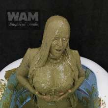 Wam Bagheera Studio: 