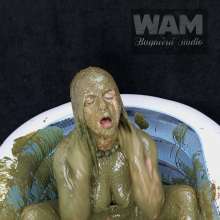 Wam Bagheera Studio: 