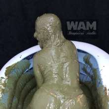 Wam Bagheera Studio: 
