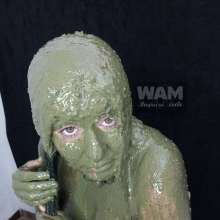 Wam Bagheera Studio: 