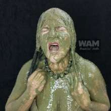 Wam Bagheera Studio: 