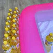 Your Wet Cat: Lost a Bet and Slipped in a Pool Full of Oil