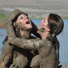 dlodoski: Golf Ball Tussle, Kym and Gummi--Photos