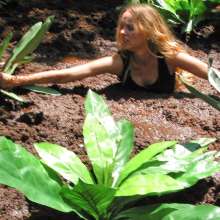 dlodoski: Plane Crash in the Jungle, Ultimate Edit--Photos