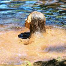 dlodoski: Monique Exploring a Watery Peat Bog, Ultimate Edit--Photos