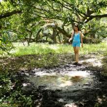 dlodoski: Ness, Exploring the Peat Bog--Photos