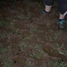 Eagleeyed: Mud Play Part 1