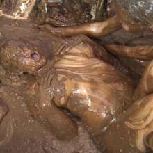 Jayce: Satin Dresses Slipped into Pool of Slop Feat. Nikko and Mel