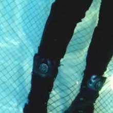 Mikewet: 