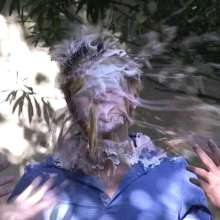 uppercrust: The Actors Is Pied