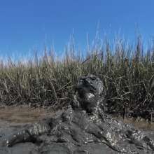 Goonology: Edging and Cumming in Nasty Black Muck