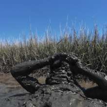 Goonology: Edging and Cumming in Nasty Black Muck