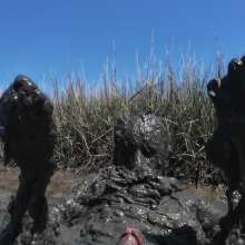 Goonology: Edging and Cumming in Nasty Black Muck