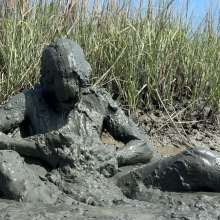 Goonology: Edging in Fly Infested Stinky Mud