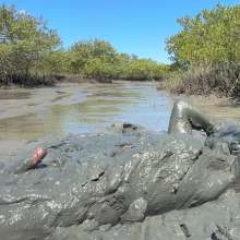 Goonology: Edging Myself Senseless in Bottomless Tidal Mud!