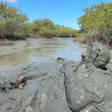 Goonology: Edging Myself Senseless in Bottomless Tidal Mud!