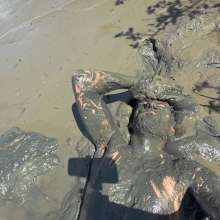 Goonology: Edging Myself Senseless in Bottomless Tidal Mud!