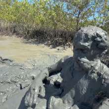 Goonology: Edging Myself Senseless in Bottomless Tidal Mud!