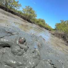 Goonology: Edging Myself Senseless in Bottomless Tidal Mud!