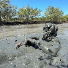 Goonology: Edging Myself Senseless in Bottomless Tidal Mud!